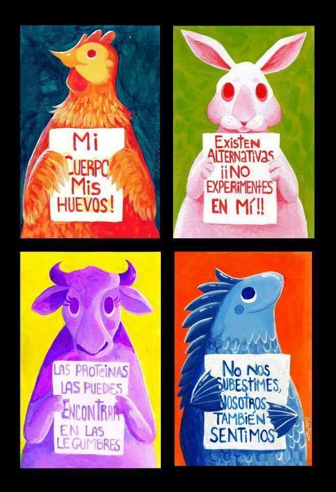 InfinityRelief's tweet image. cuidamos a los animales ;)