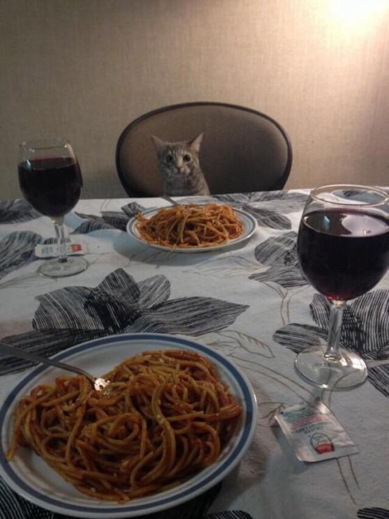 ltsKittens's tweet photo. Dinner with bae http://t.co/FZ5QU9Gfva