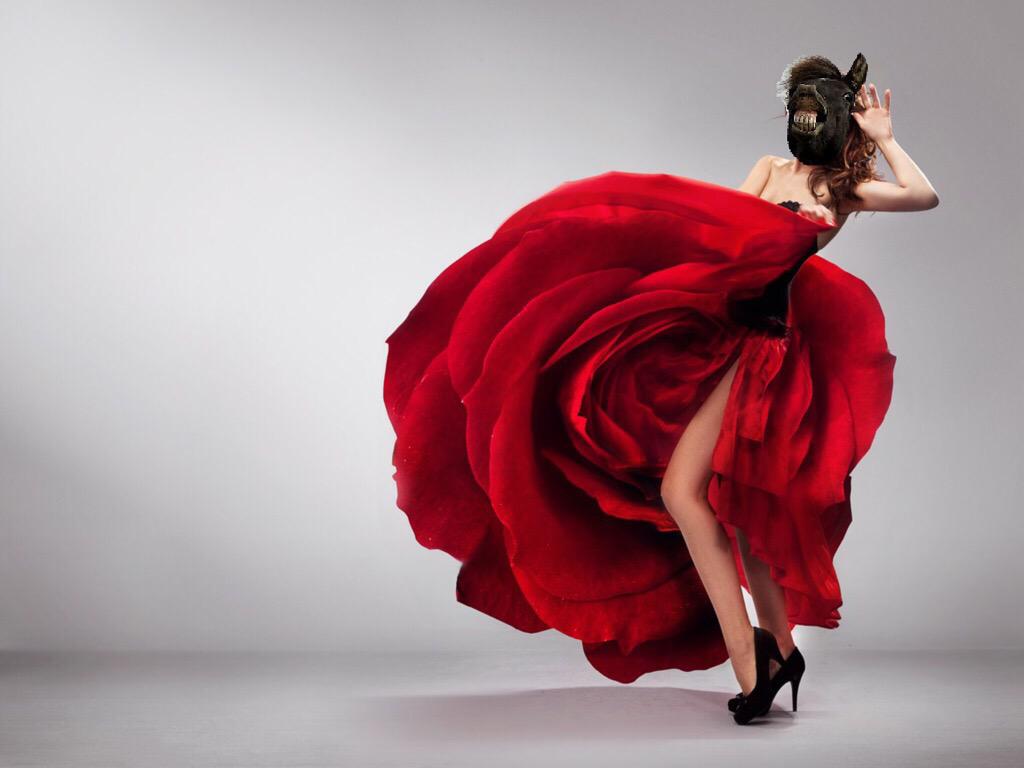 Kingofthesmall's tweet photo. It's a rose of horse. http://t.co/ixHE63l60j