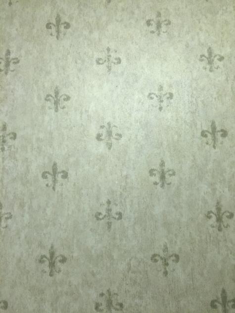 KSU_KKGRoadtrip's tweet photo. Our hotel has fleur-de-lis wallpaper so obviously this place was meant to be  #kappa http://t.co/uRMV1jHrHZ