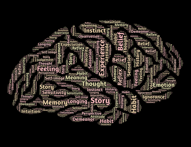 BankSlaves's tweet photo. 27 Ways Our Brain Distorts Reality -> http://t.co/HsWF7i0TEC http://t.co/ec2OlmvoTz