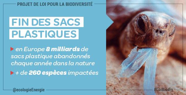 Ecologie_Gouv's tweet photo. [#LoiBiodiv] L'interdiction des sacs de caisse à usage unique est aussi une mesure de protection de la biodiversité http://t.co/KIHGwHS1Fc