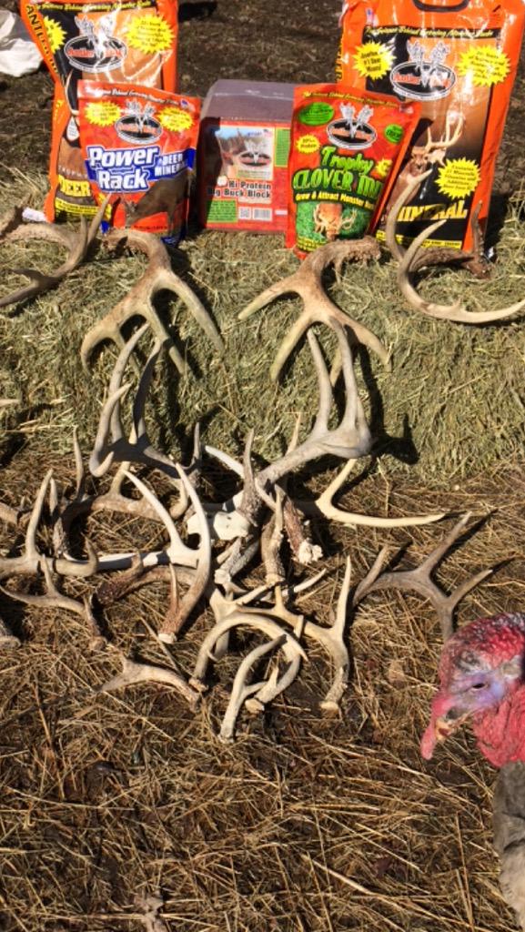 Addicted2Deer's tweet photo. Kiss 2014 deer season goodbye &amp; start growing 2015 antlers! You'll be glad you did around October!🎯 http://t.co/MZ3nk37E8z