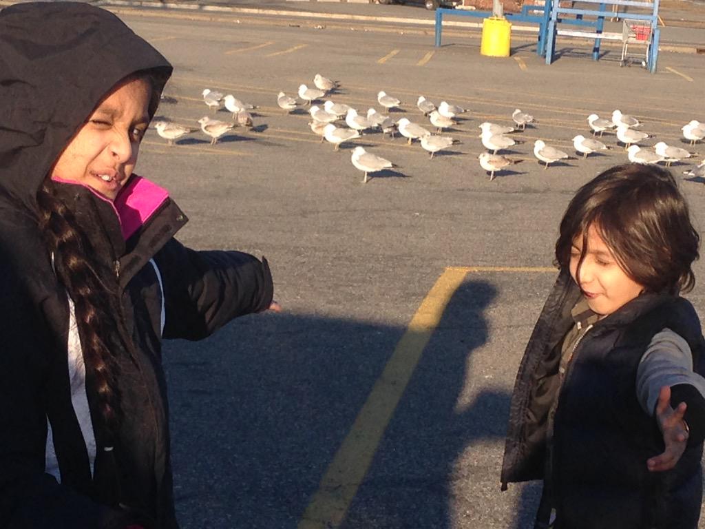 12Deepkhalsa's tweet image. 