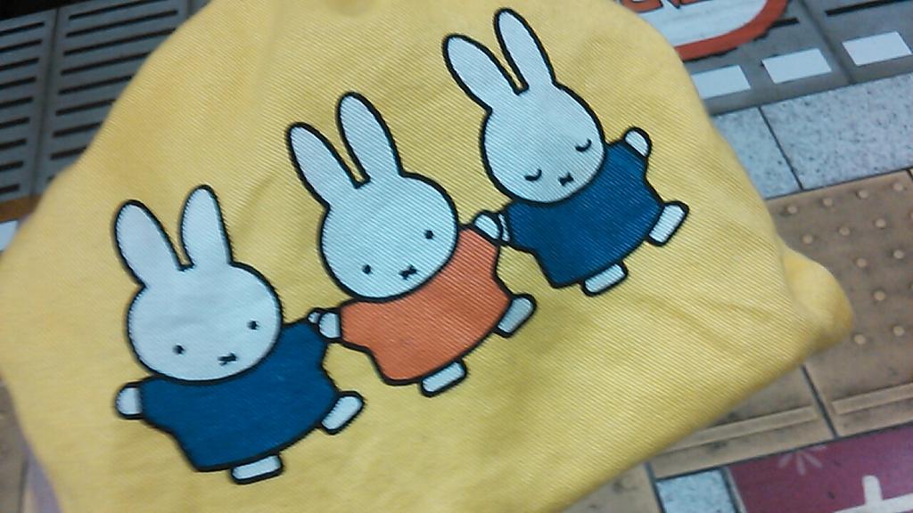 帰宅したらビニタ頑張る