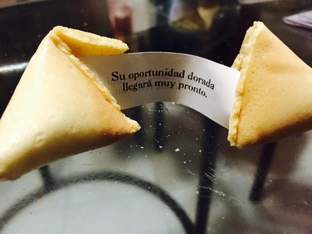 Dafne Gallardo tweet media