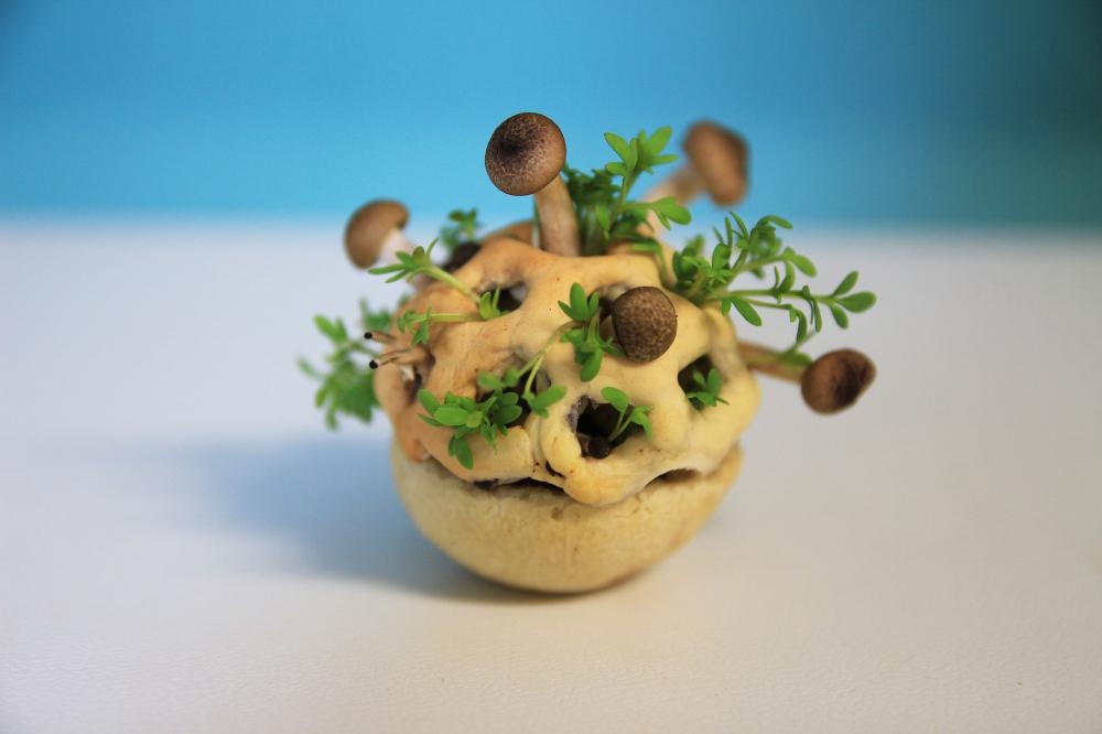 DesignApplause's tweet photo. #3dprinted food #savory http://t.co/BGadzsklCd #foodart http://t.co/rA8kx95YId