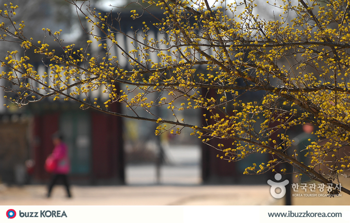 ibuzzkorea's tweet photo. [K-Activity] Namwon is the hometown of the famous love story of Chunhyang and Lee Mongnyong! #ibuzzkorea http://t.co/Q7pDR9K5GY