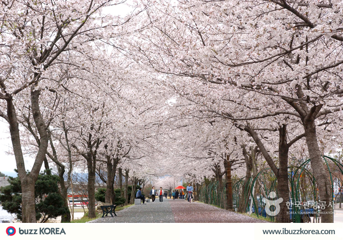 ibuzzkorea's tweet photo. [K-Activity] Namwon is the hometown of the famous love story of Chunhyang and Lee Mongnyong! #ibuzzkorea http://t.co/Q7pDR9K5GY