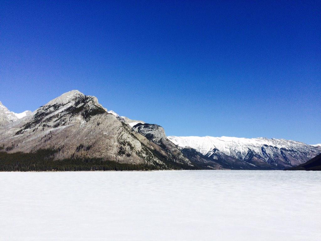 ShayyyNet's tweet image. Can my home get any better ? #banff #leavingyyc #albertabound #perfect