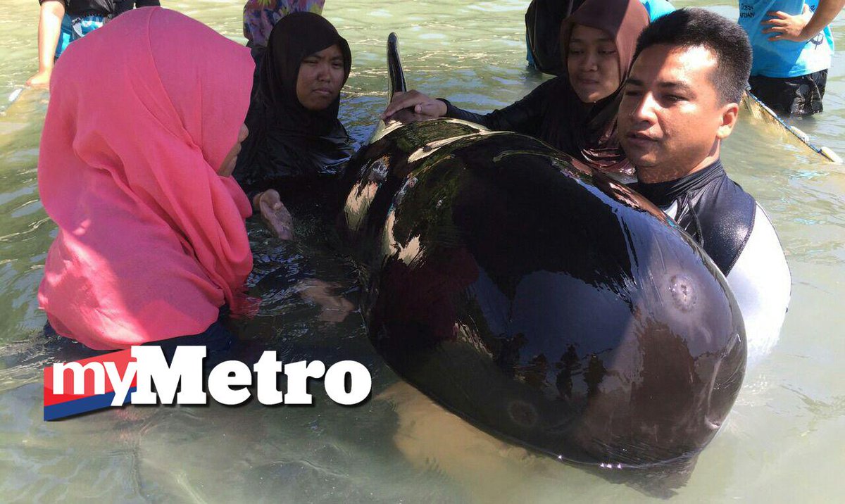 Harian Metro tweet media