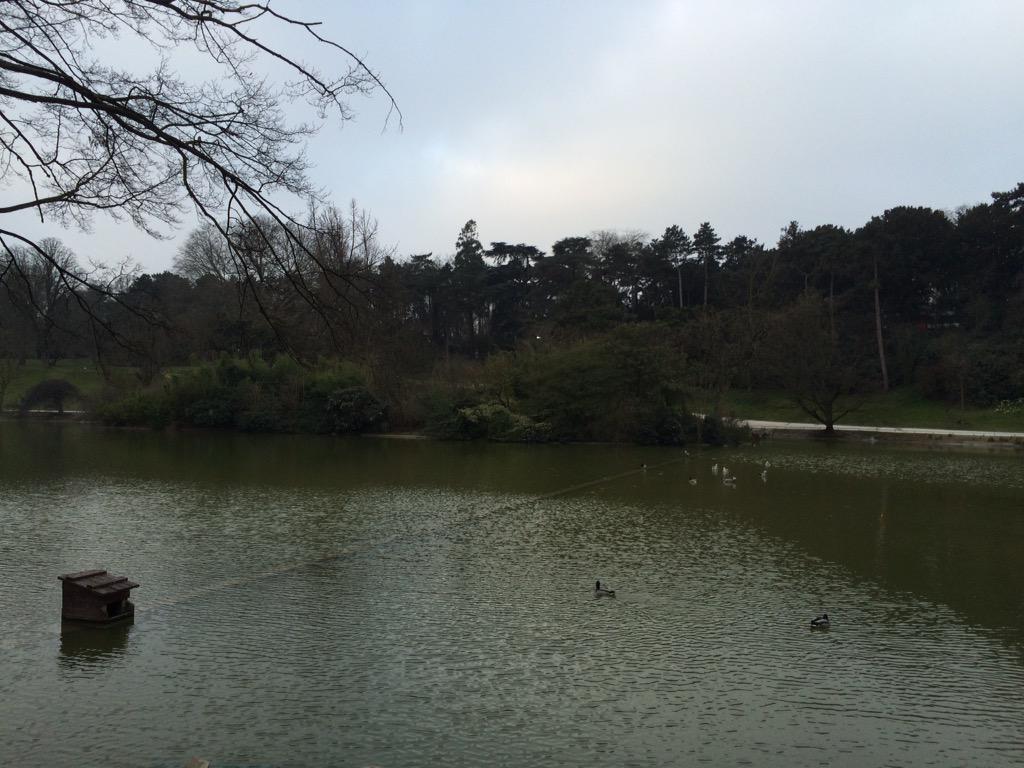 niCRO's tweet image. Morning run before another packed day at #mplssdn2015 &amp;amp; #NFVSDN2015 !