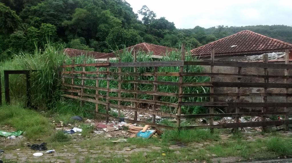 leao_rl's tweet photo. @_TvTribuna Av.Monteiro Lobato Vila Voturuá SV. Até qd ficaremos assim? Ajudem, por favor. Não queto pegar dengue. http://t.co/ND9knkbQqp