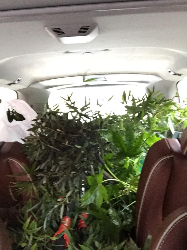 Ok, 1 x met de #auto we gaan de stad uit naar #Rotterdam  voor een #balkon #metamorfose #detuinvrouwen #Amsterdam