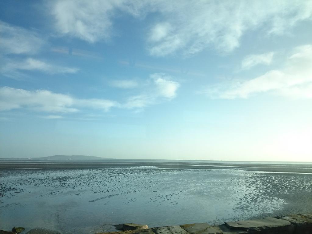 Mountains to Sea dlr Book Festival tweet media