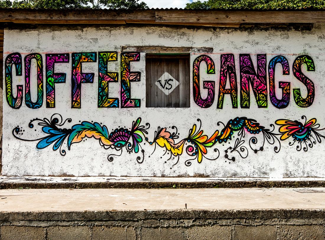 Telegraph's tweet photo. Coffee vs gangs: How coffee farms are saving children from the lure of gangs in Honduras #ad http://t.co/q98fOIe1XN http://t.co/6xWfmPVHA0