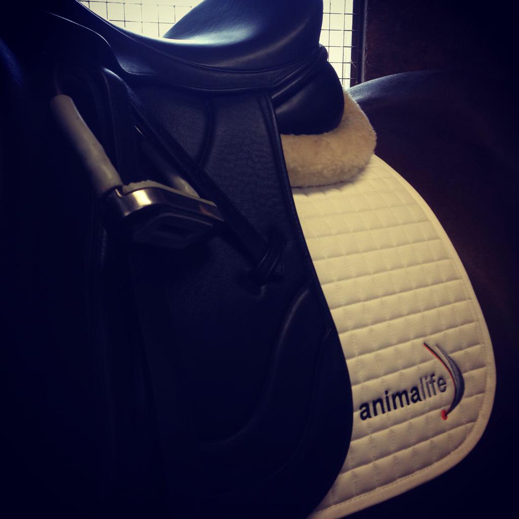 michaelashton's tweet image. loving my new kit - thank you @AnimalifeUK !! :) :) #Horses #EventingLive #ProKit w/ @GgeePR