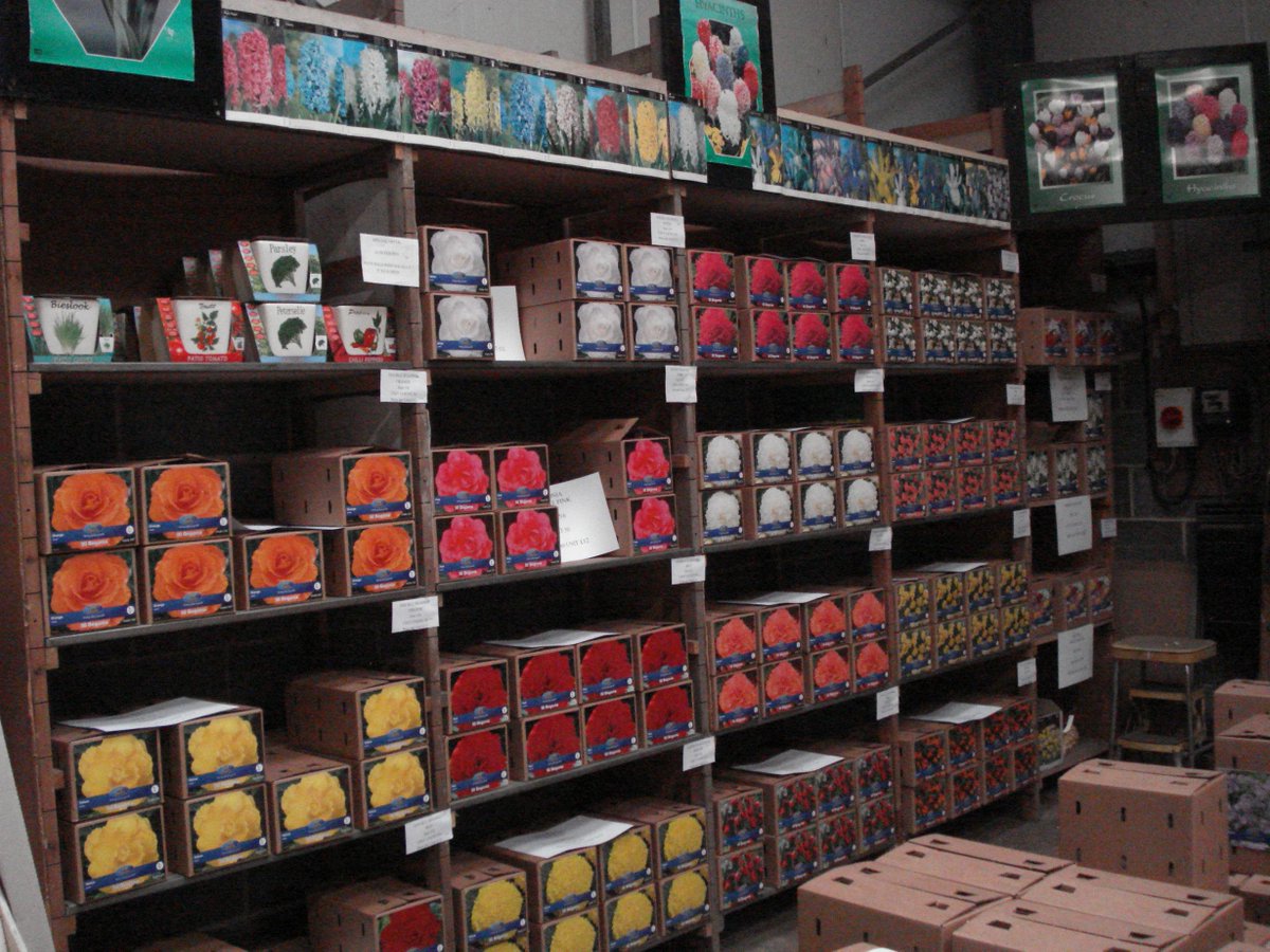 TopScoreBulbs's tweet image. We supply product for Garden Centres/Retailers, Farmers/Growers, Mail Order, the bonus - you can view before you buy!