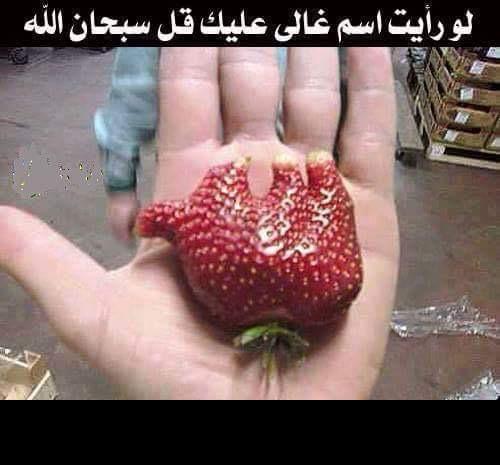 UDarsot7's tweet photo. 🍓 http://t.co/iwP39BXEhT