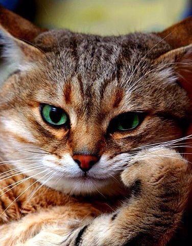 Михаил  Белоусов (@belousovmd62) on Twitter photo 