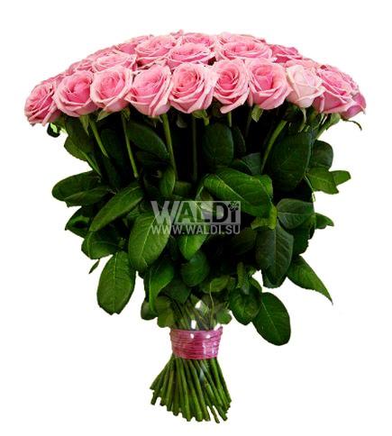 waldi_su's tweet photo. http://t.co/kqFX6S79Vi
+7(499) 899 40-04  +7 (499) 343 40-04
Обновление ассортимента букетов и цветочных корзин http://t.co/9BsNhHxWdg