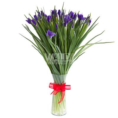 waldi_su's tweet photo. http://t.co/kqFX6S79Vi
+7(499) 899 40-04  +7 (499) 343 40-04
Обновление ассортимента букетов и цветочных корзин http://t.co/9BsNhHxWdg