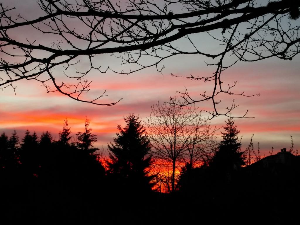 HeartSongDancer's tweet photo. Giving thanks to our Beloved for this glorious sunrise! http://t.co/f1wNY2iQCF