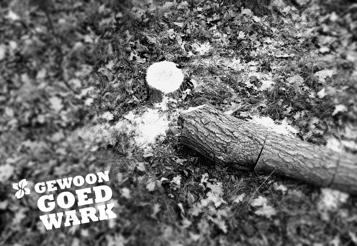 Denk je wel eens aan het verlonen van personeel? Geen personeelsvraag is ons te gek! Wij staan voor GEWOON GOED WARK!