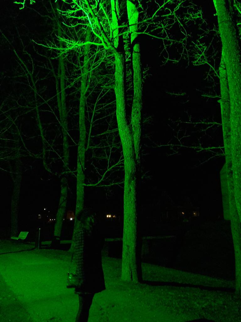 britziko's tweet photo. Maagilised virmalised Viljandis. Tabatud koos Hediga. #virmalised #omg #wow #muchgreen http://t.co/uBATrYsOMw