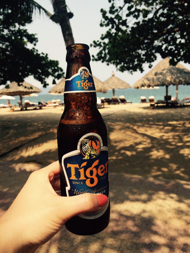 orio891's tweet photo. Chilled out day at the beach #tigerbeer http://t.co/geRdwmIynE