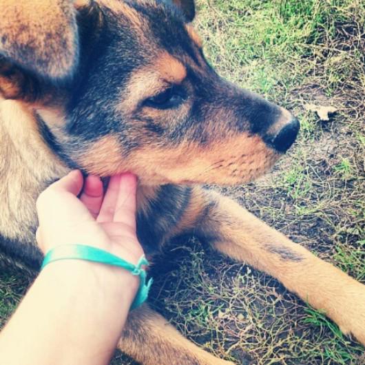 yulic61's tweet photo. Hbs main sm doggy tetangga cieh dia malu2 di godain sm cwek cantik 😘😘😝 http://t.co/mnFVhrHvBn
