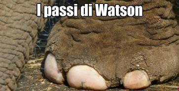 WatsonRipe tweet picture