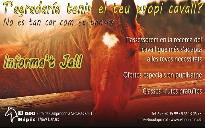 elnouhipic's tweet photo. Un cap de setmana amb nosaltres http://t.co/sCgAJ5WLhE