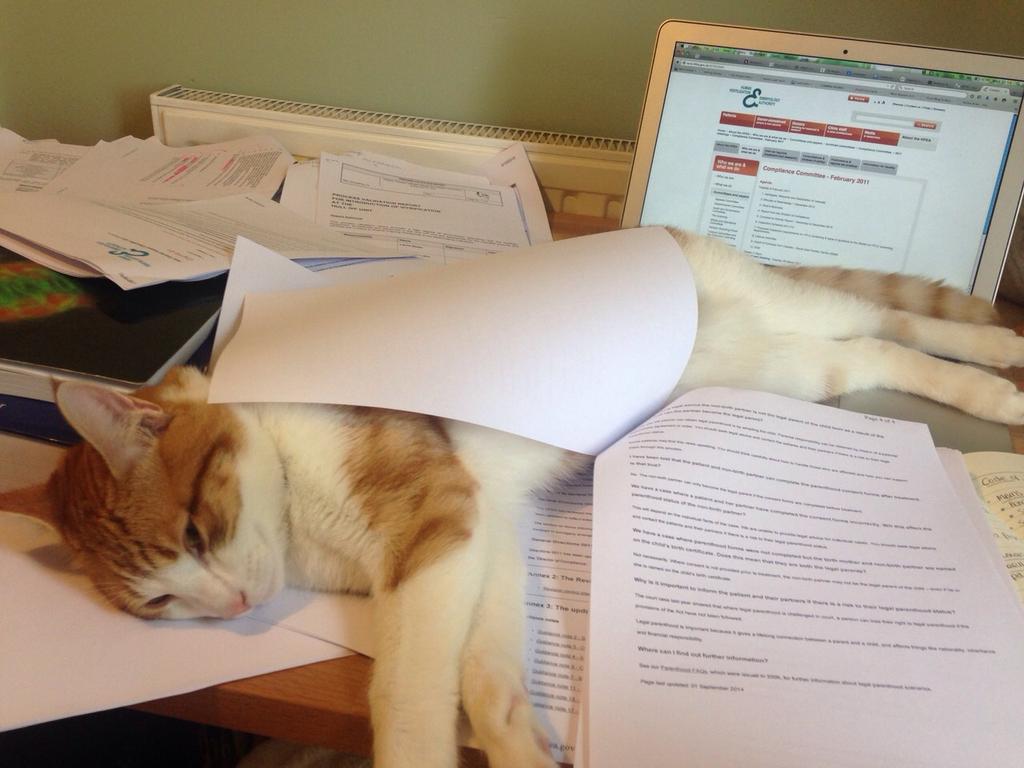 Hull & East Riding Fertility tweet media