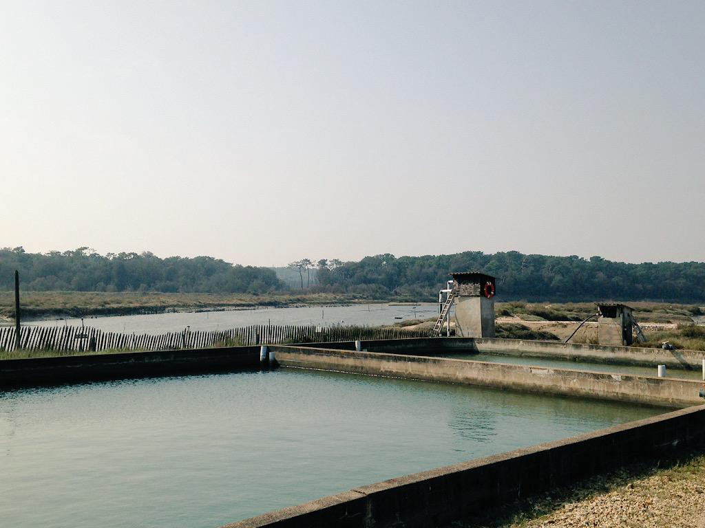 clergeau's tweet photo. Des Sables d'Olonne aux parcs ostréicoles de #Vendée, il n'y a qu'un pas. Notre région @paysdelaloire est belle ! http://t.co/JVnKzZYO4f