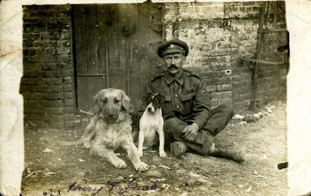 WW1_Conference's tweet photo. "Men's best friend" Dogs of the First World War 
http://t.co/dzCgNVFdOb
#WW1 http://t.co/xcD8R5RzL8