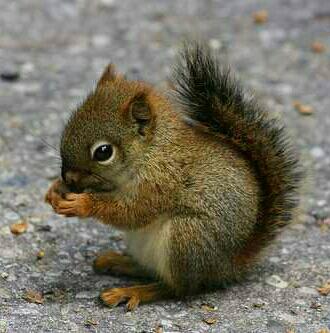 Joanna (@me5205203732) on Twitter photo 