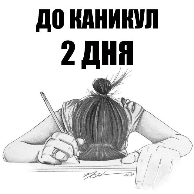 Февраля, смешные картинки скоро каникулы