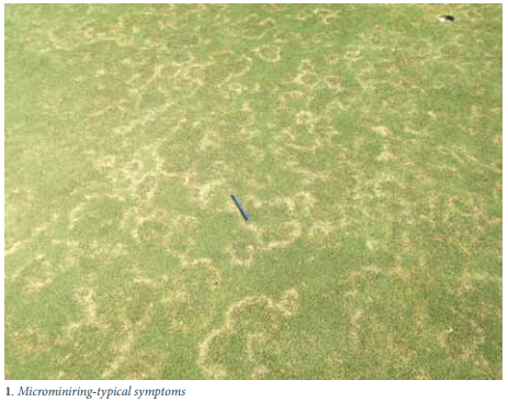 Pitchcare's tweet photo. Michael Healy discusses the age of your putting green and the relationship with turf diseases http://t.co/LkEtoWUpsF http://t.co/7YB6Zdq0Wj