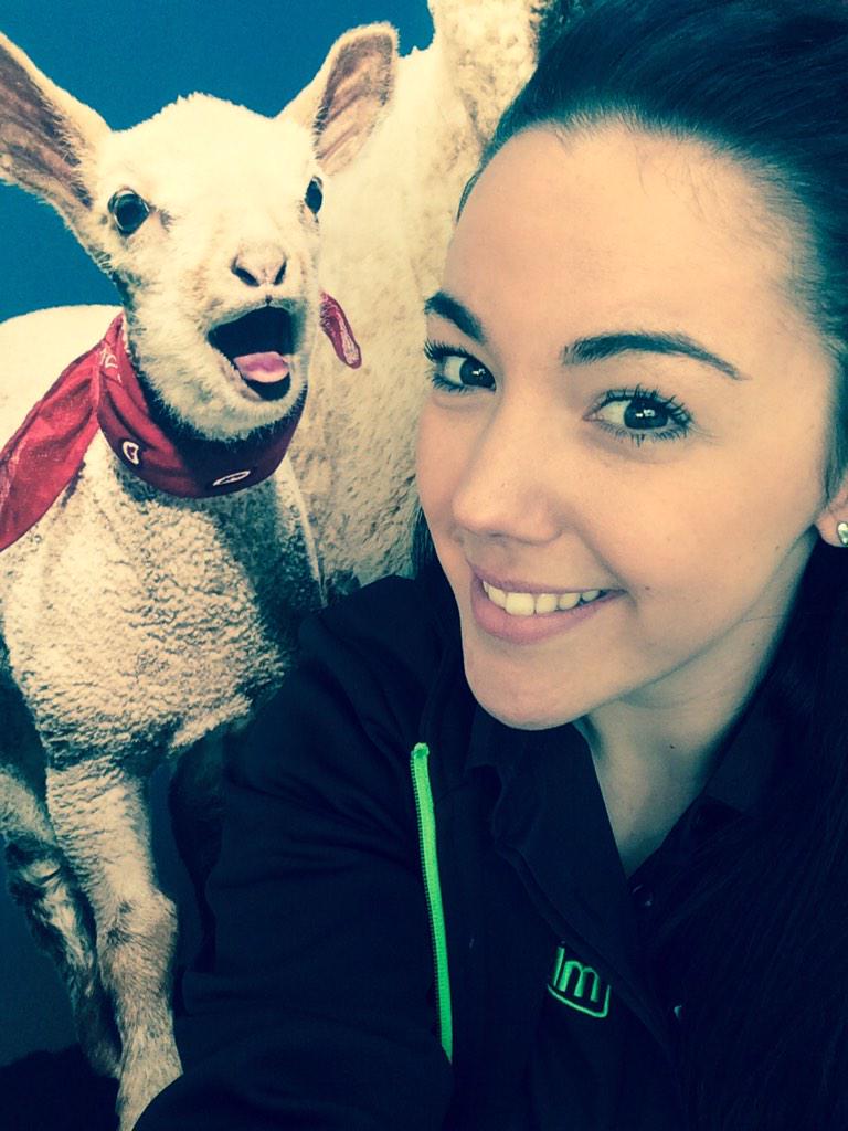 KaytieLou's tweet image. Me and Barney Blackout @DunelmUK we all love this little guy in #Bromborough #newstore #sleepie #dunelm ✌️🐑