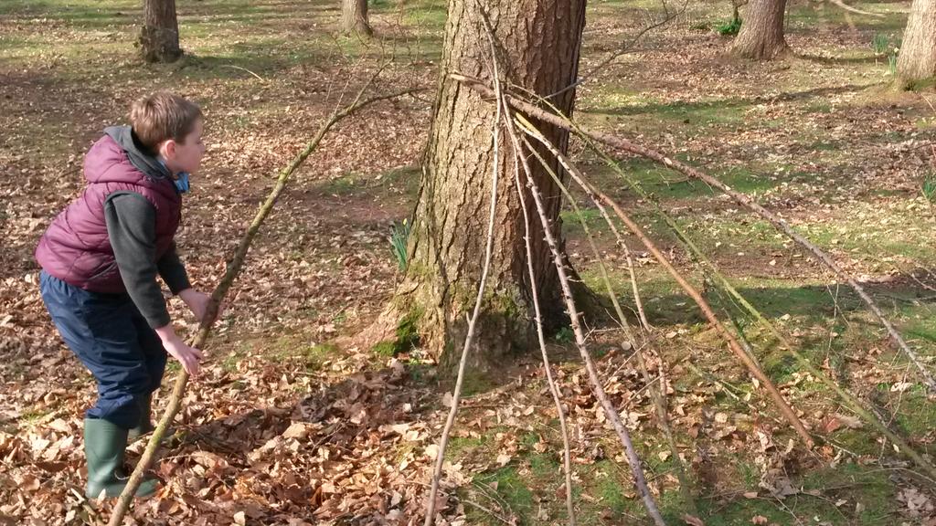 St. Marys RC School tweet media