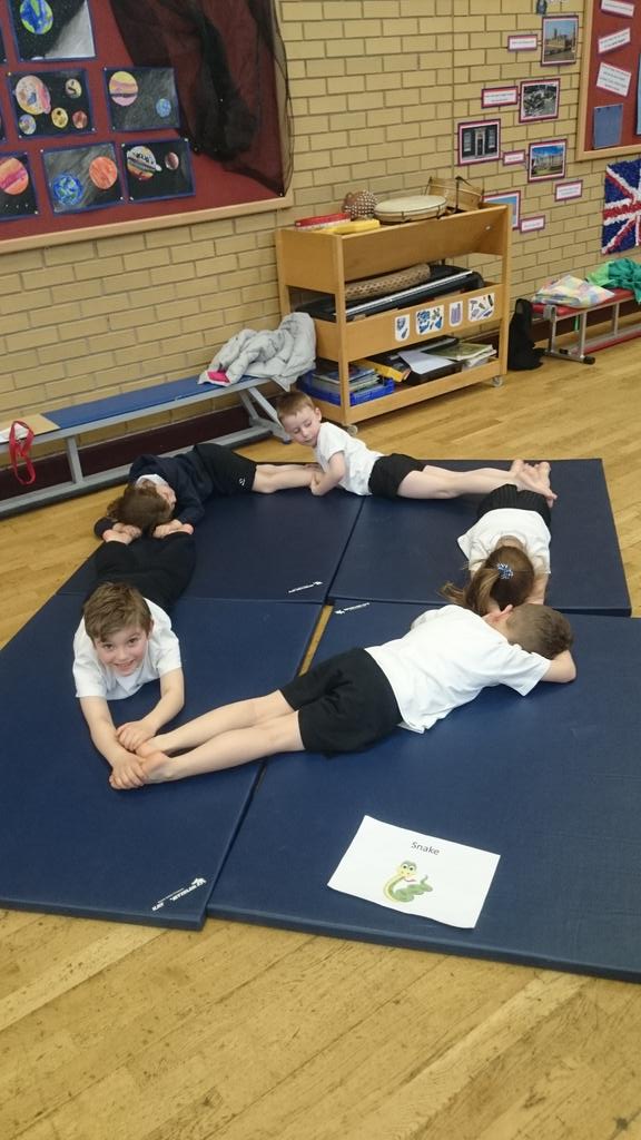 baysgarthsport's tweet photo. Reception and Class 1 at @southferribysch were very excitable for their gymnastics lesson with @MissKidzPE #teamwork http://t.co/3a9yml4aQf