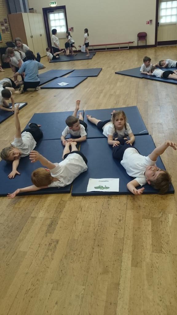 baysgarthsport's tweet photo. Reception and Class 1 at @southferribysch were very excitable for their gymnastics lesson with @MissKidzPE #teamwork http://t.co/3a9yml4aQf