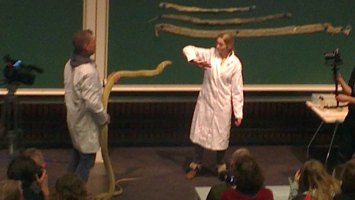 VeetelersNL's tweet image. Grote opkomst gisteren bij 'Meet the King. Met een volle zaal en veel enthousiasme. #btf #biologica #sylvatica