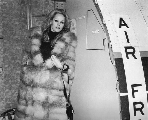 Happy Furry Birthday to Swiss actress and sex symbol Ursula Andress, best known for her role as Bond girl Honey Ryder 