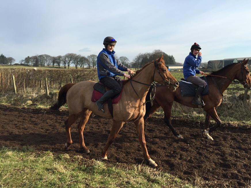 debsyjane's tweet photo. Had lovely morning on the gallops today with @BollyandKrug @luceandscu @petescu great to see this boy back #KrisCross http://t.co/VW9AwVOUNj