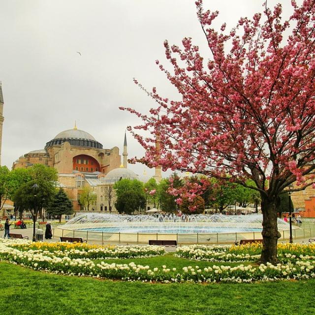 lstanbulin's tweet photo. #İstanbul bahara hazırlanıyor.
Görsel: http://t.co/EqnefjLdCf http://t.co/oEvwRqrnrk
