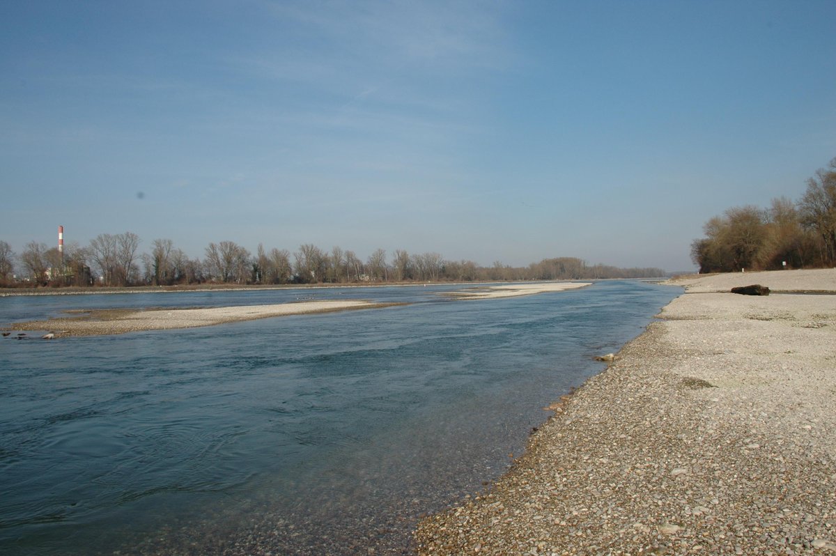 Umgestaltung der Tomateninseln fast abgeschlossen. Letzte Restarbeiten am Entnahmebauwerk zum Illinger Altrhein.