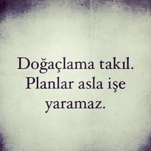 LafTReni tweet picture