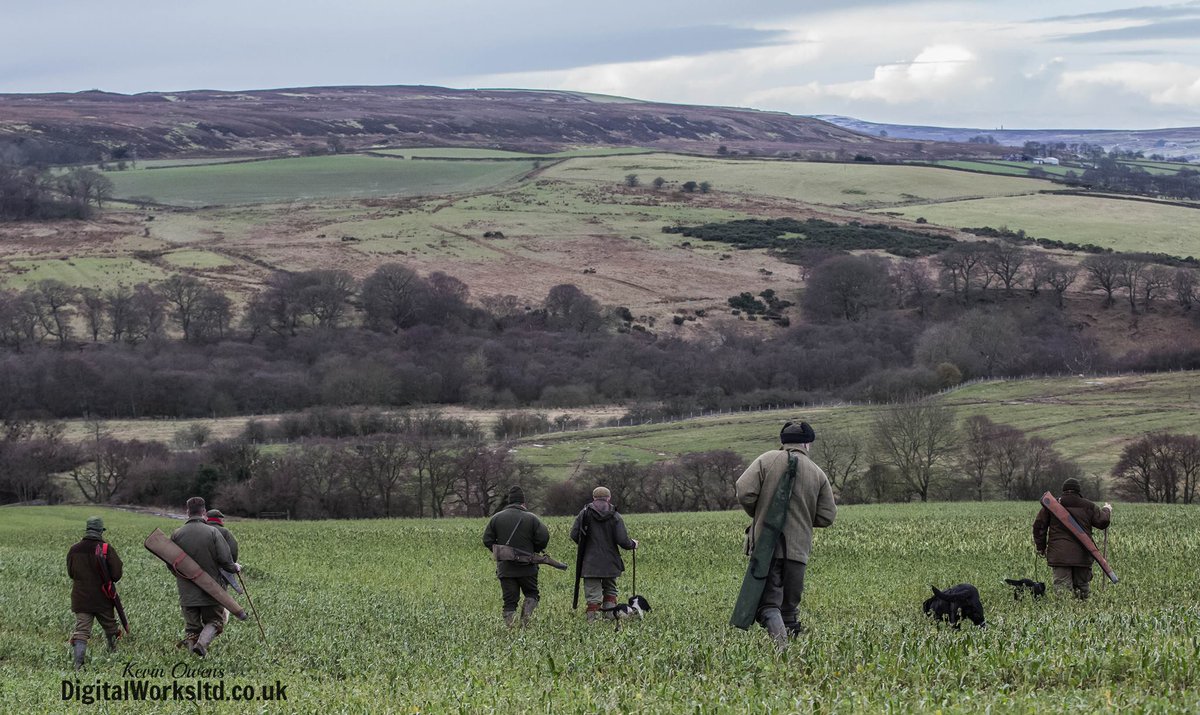 Gsxr1000UKKO's tweet photo. Our countryside, our heritage... #countryside #shooting #hunting #fieldsports #heritage #votetherightway http://t.co/C2XDs50Cec